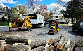 Best Tree and Shrub Care  in Russiaville, IN