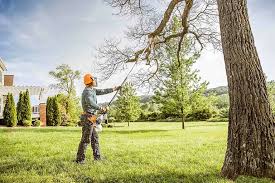 Why Choose Our Tree Removal Services in Russiaville, IN?