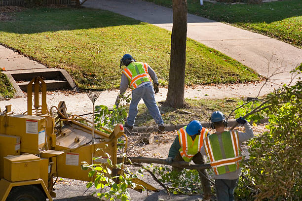 Mulching Services in Russiaville, IN